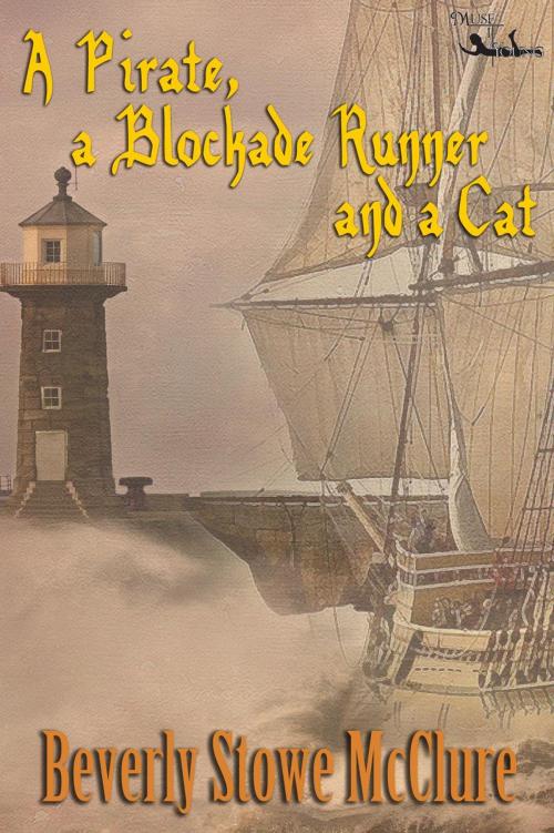 Cover of the book A Pirate, a Blockade Runner, and a Cat by Beverly Stowe McClure, MuseItUp Publishing