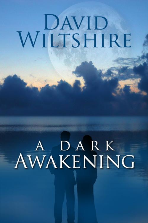 Cover of the book A Dark Awakening by David Wiltshire, First Portland