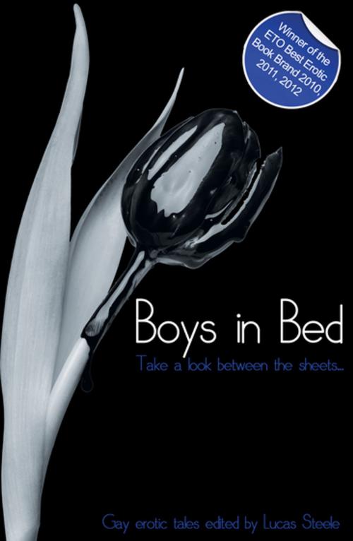 Cover of the book Boys in Bed by William Anthony, Elizabeth Coldwell, D. K. Jernigan, Lynn Lake, Drew Payne, Landon Dixon, Dominic Santi, Katya Harris, Graham Benedict, L. A. Fields, Michael Wells, Eve Ray, Beverly Langland, Andy McGreggor, Michael Bracken, E.C. Cutler, Marcus Swannick, G R Richards, J Y, Xcite Books