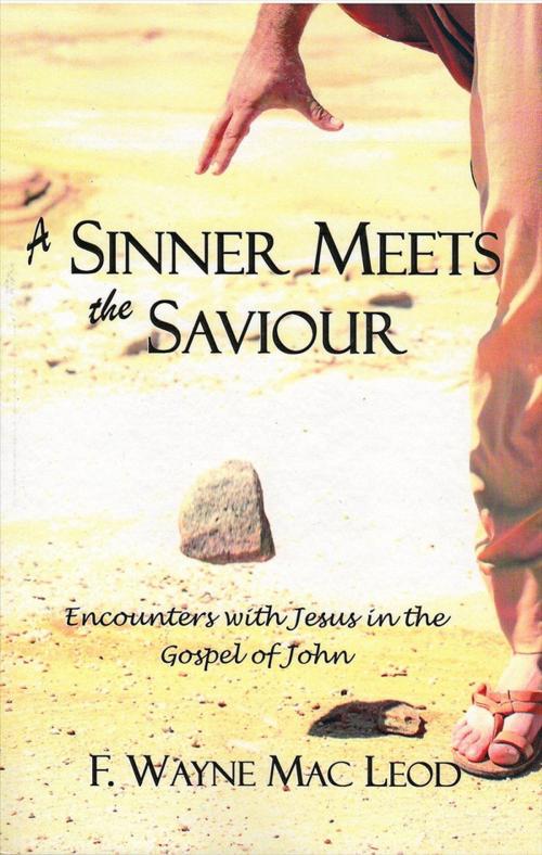 Cover of the book A Sinner Meets the Saviour by F. Wayne Mac Leod, Light To My Path Book Distribution