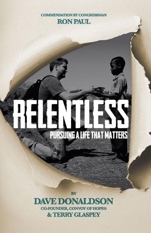 Cover of the book Relentless by Dave Donaldson, Influence Resources