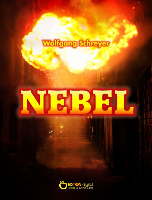 Cover of the book Nebel by Wolfgang Schreyer, EDITION digital