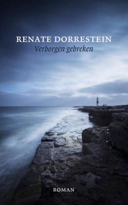 Cover of the book Verborgen gebreken by Renate Dorrestein, Singel Uitgeverijen