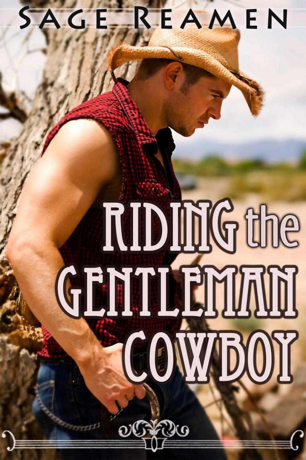 Big bigCover of Riding the Gentleman Cowboy