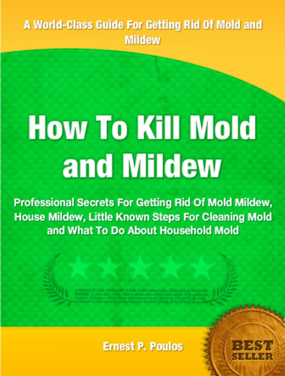 Big bigCover of How To Kill Mold and Mildew