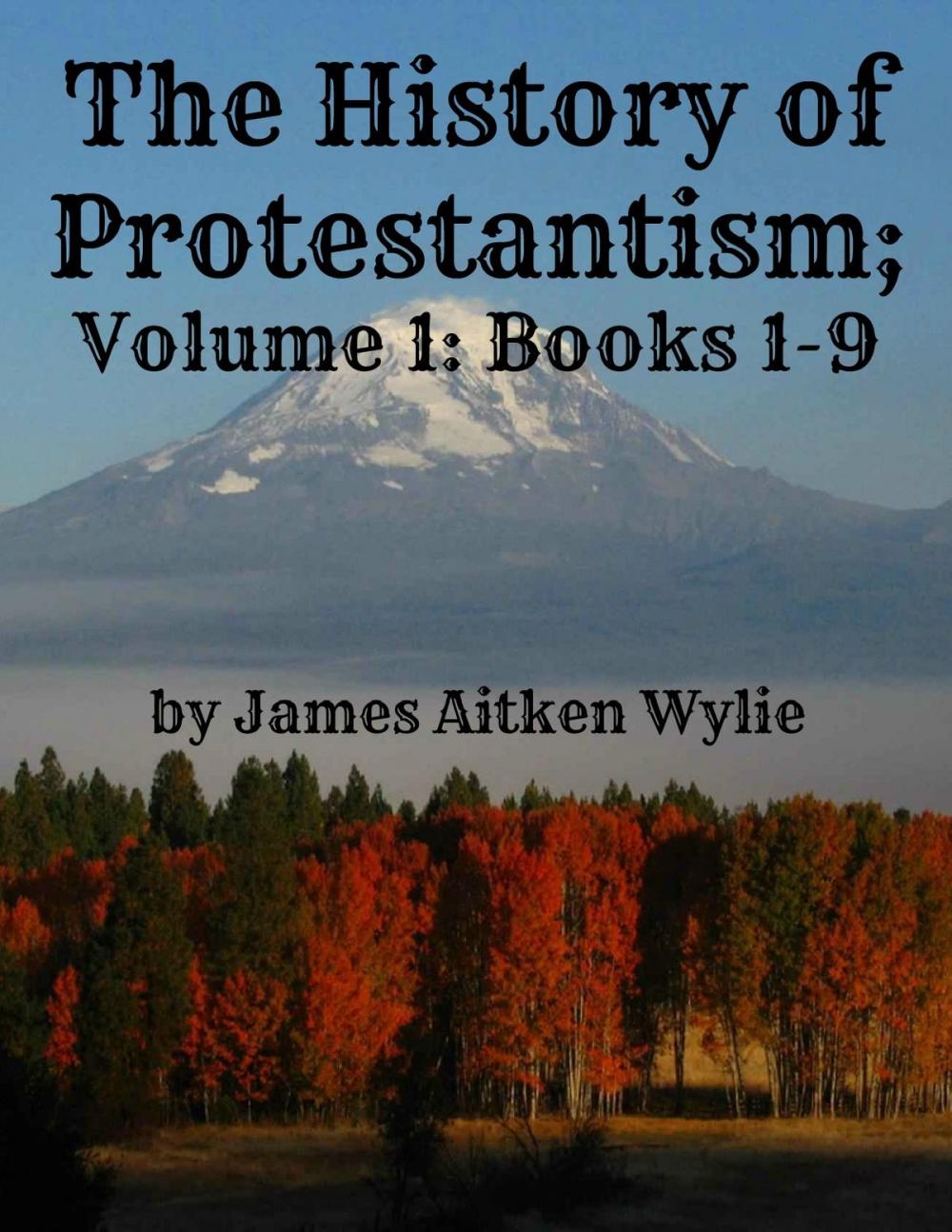 Big bigCover of The History of Protestantism; Volume 1: Books 1-9