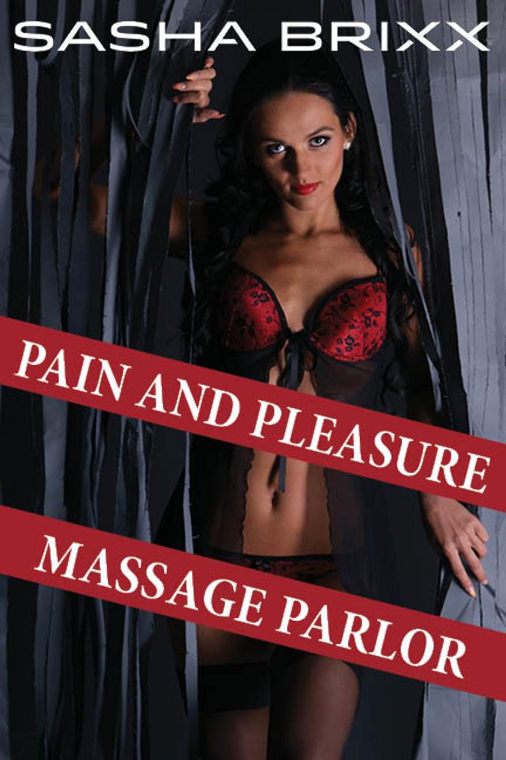 Big bigCover of Pleasure and Pain Massage Parlor