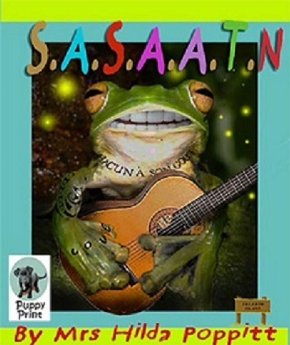 Big bigCover of S.A.S.A.A.T.N