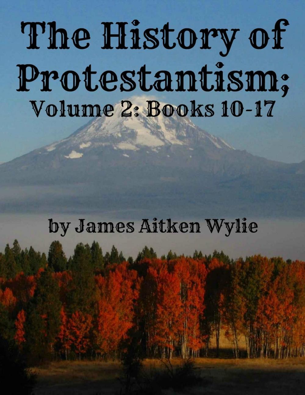 Big bigCover of The History of Protestantism; Volume 2: Books 10-17