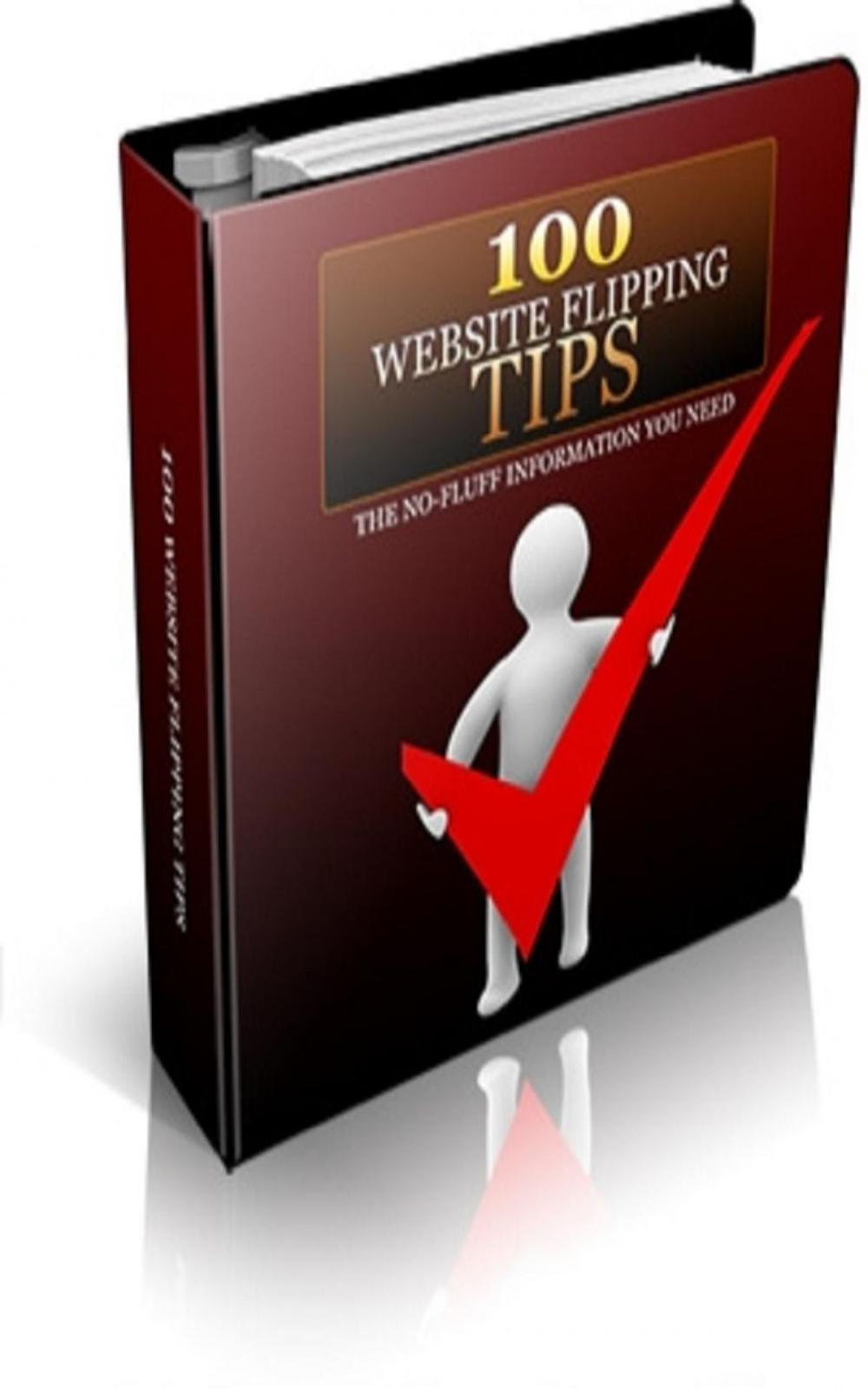 Big bigCover of 100 Website Flipping Tips