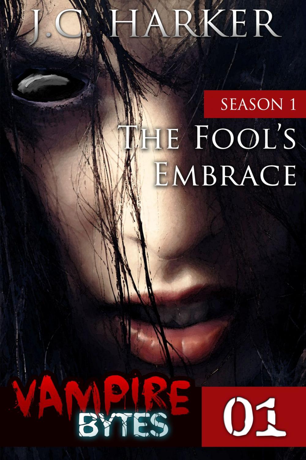 Big bigCover of The Fool's Embrace (#1)