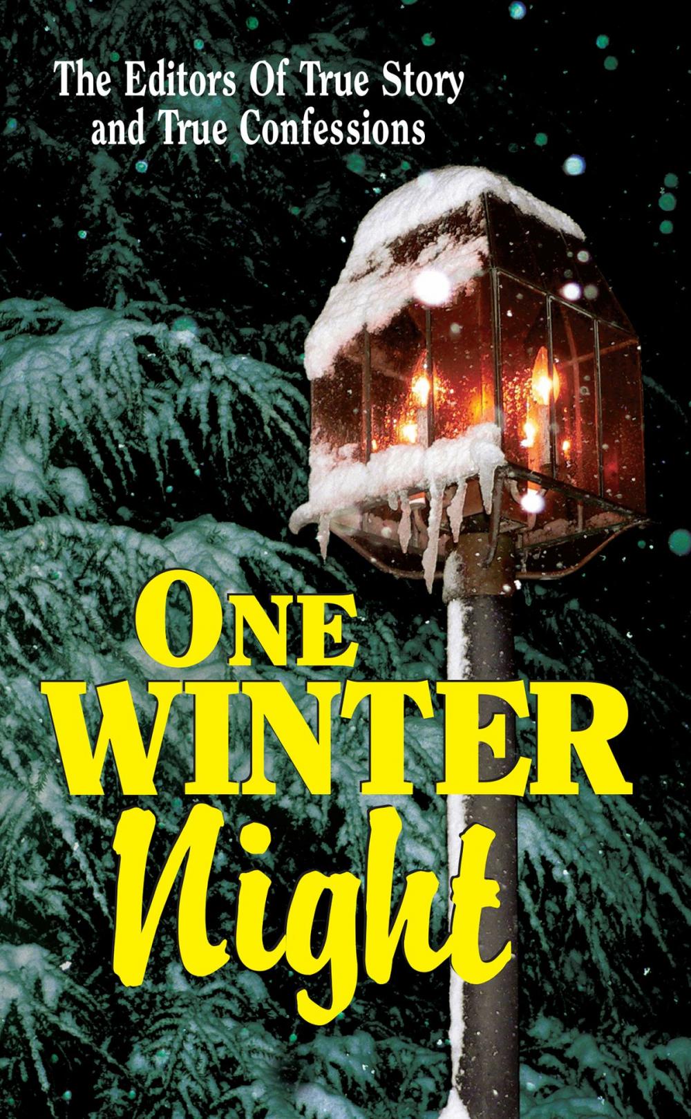 Big bigCover of One Winter Night