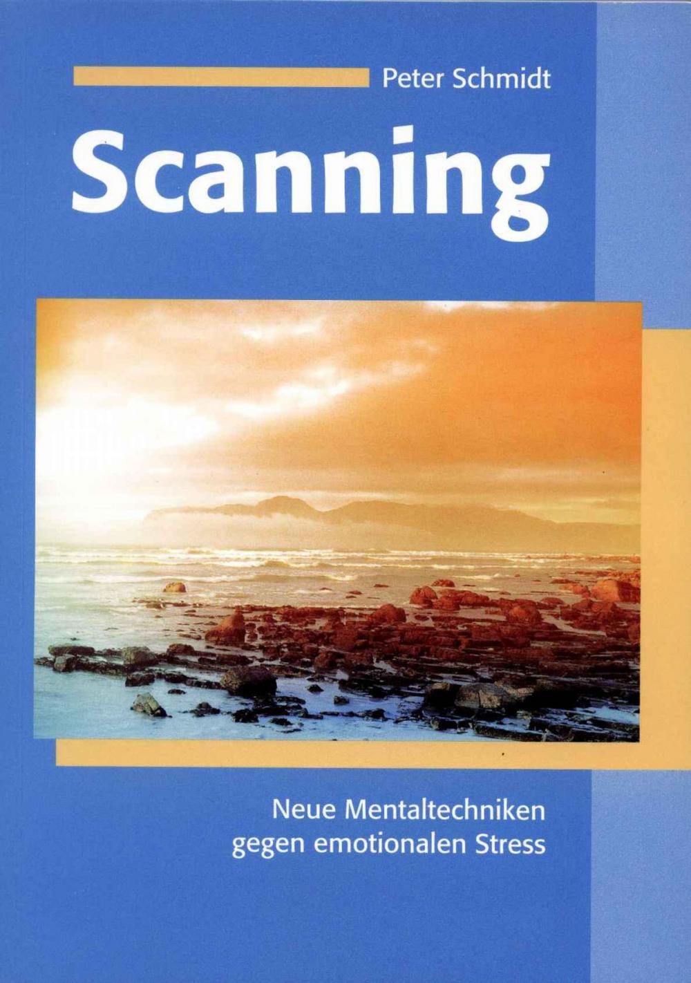 Big bigCover of Scanning