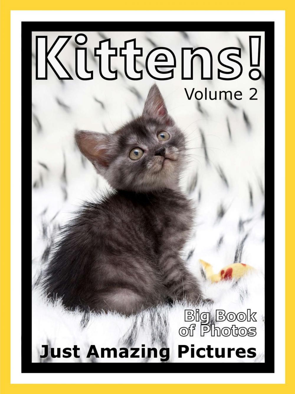 Big bigCover of Just Kitten Photos! Big Book of Photographs & Pictures of Baby Cats & Cat Kittens, Vol. 2