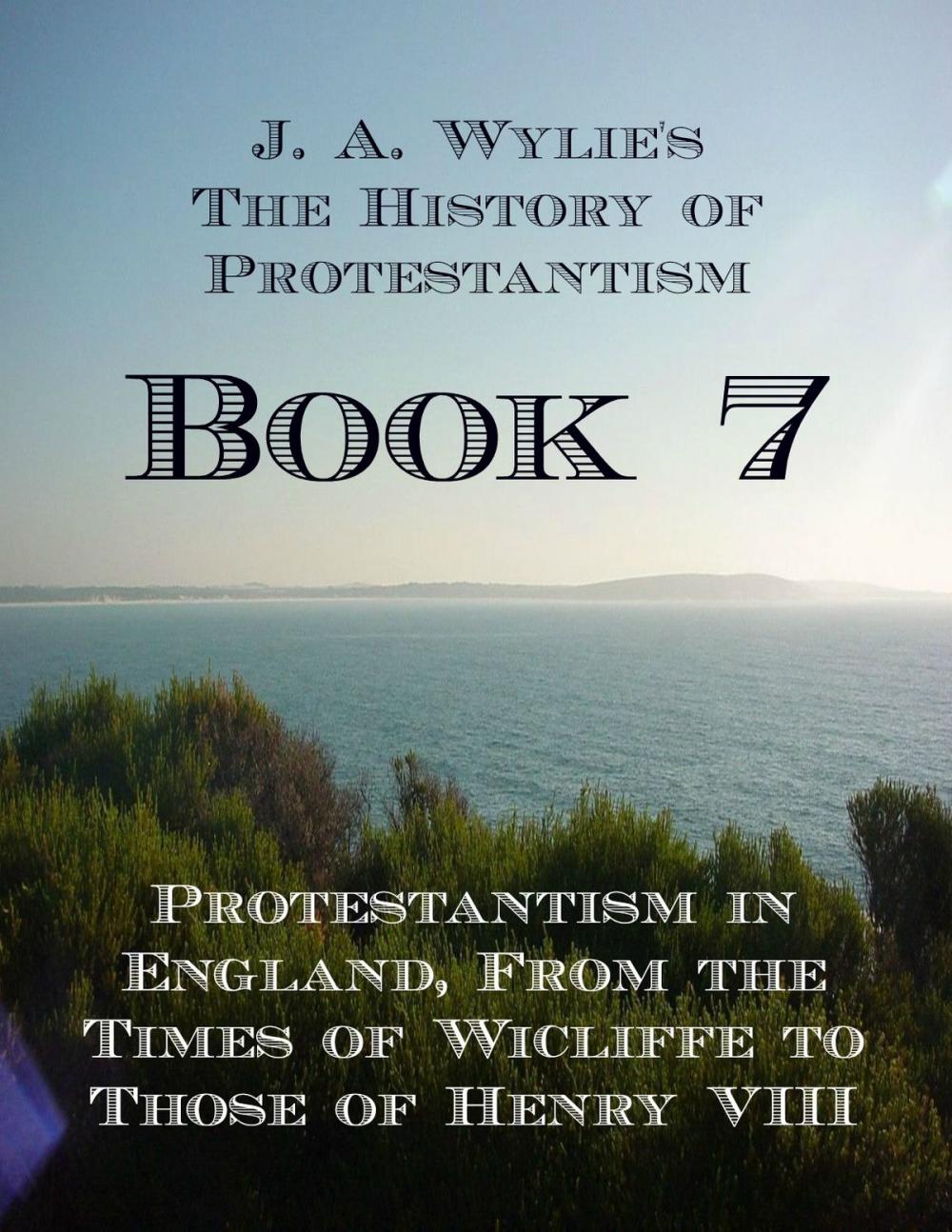 Big bigCover of Protestantism in England, From the Times of Wicliffe to Those of Henry VIII: Book 7