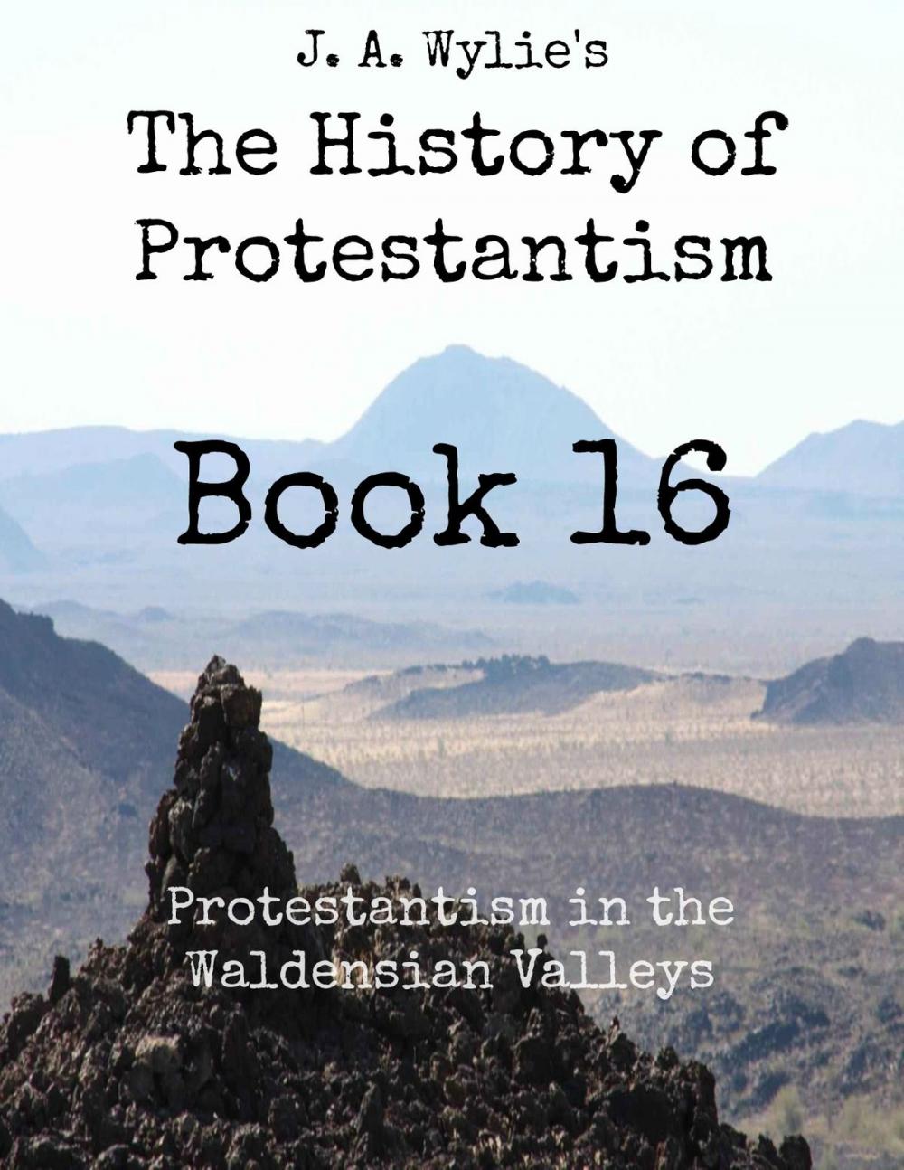 Big bigCover of Protestantism in the Waldensian Valleys: Book 16