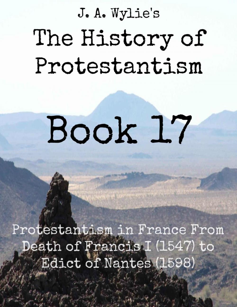 Big bigCover of Protestantism in France From Death of Francis I (1547) to Edict of Nantes (1598): Book 17