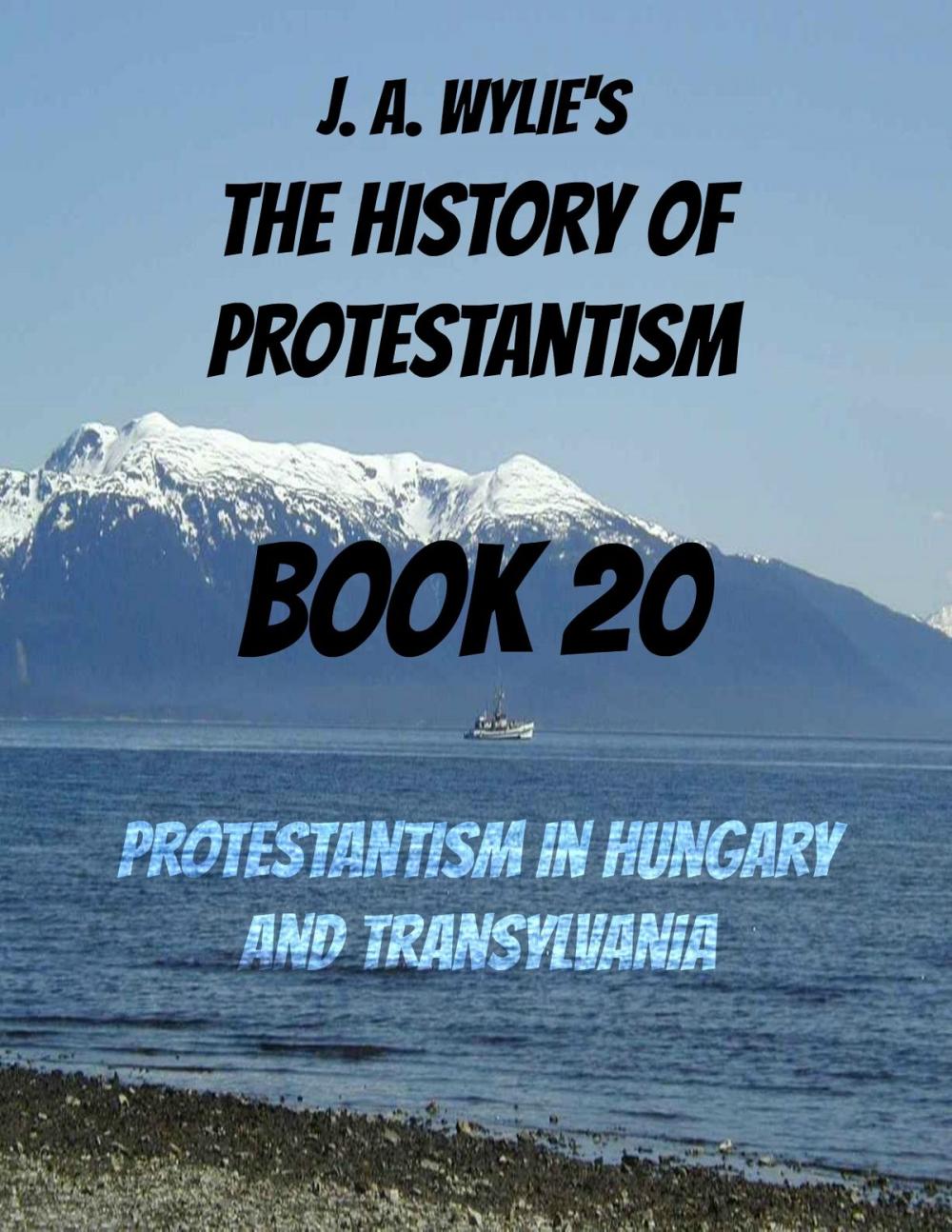 Big bigCover of Protestantism in Hungary and Transylvania: Book 20