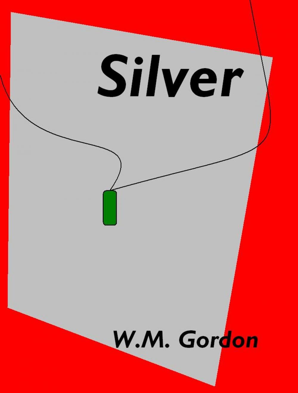 Big bigCover of Silver