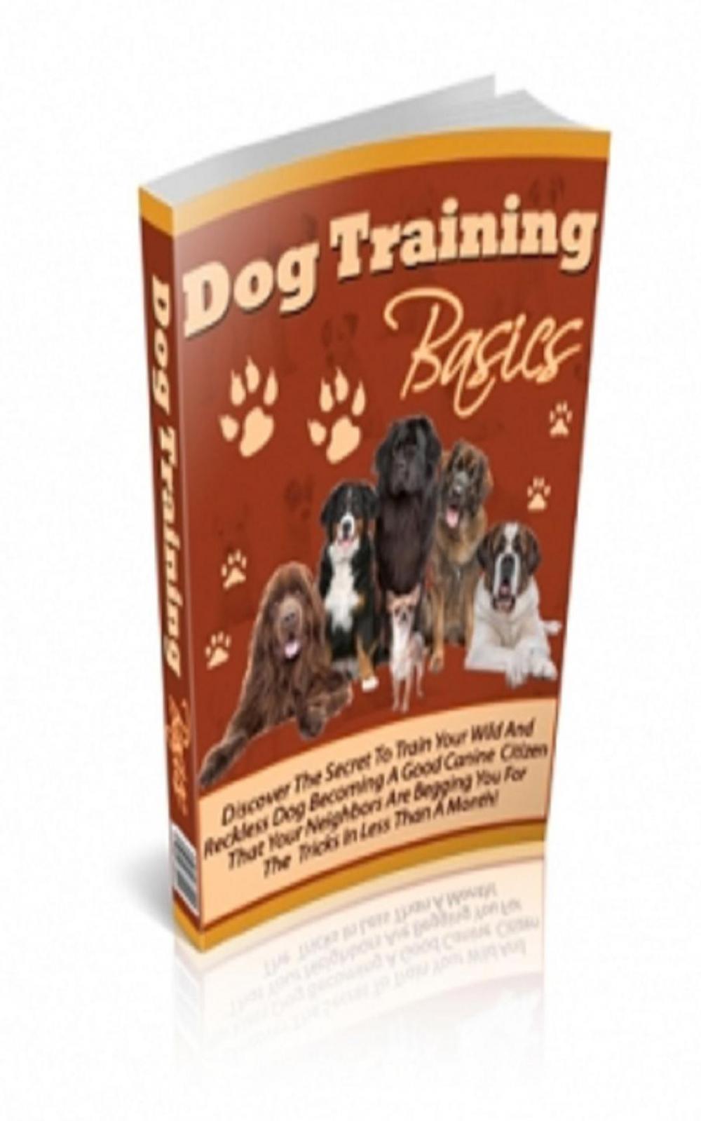 Big bigCover of Dog Training Basics