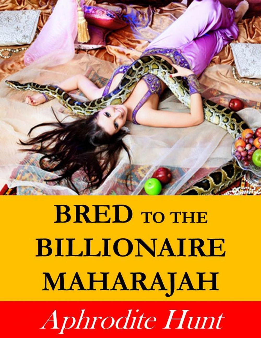 Big bigCover of Bred to the Billionaire Maharajah