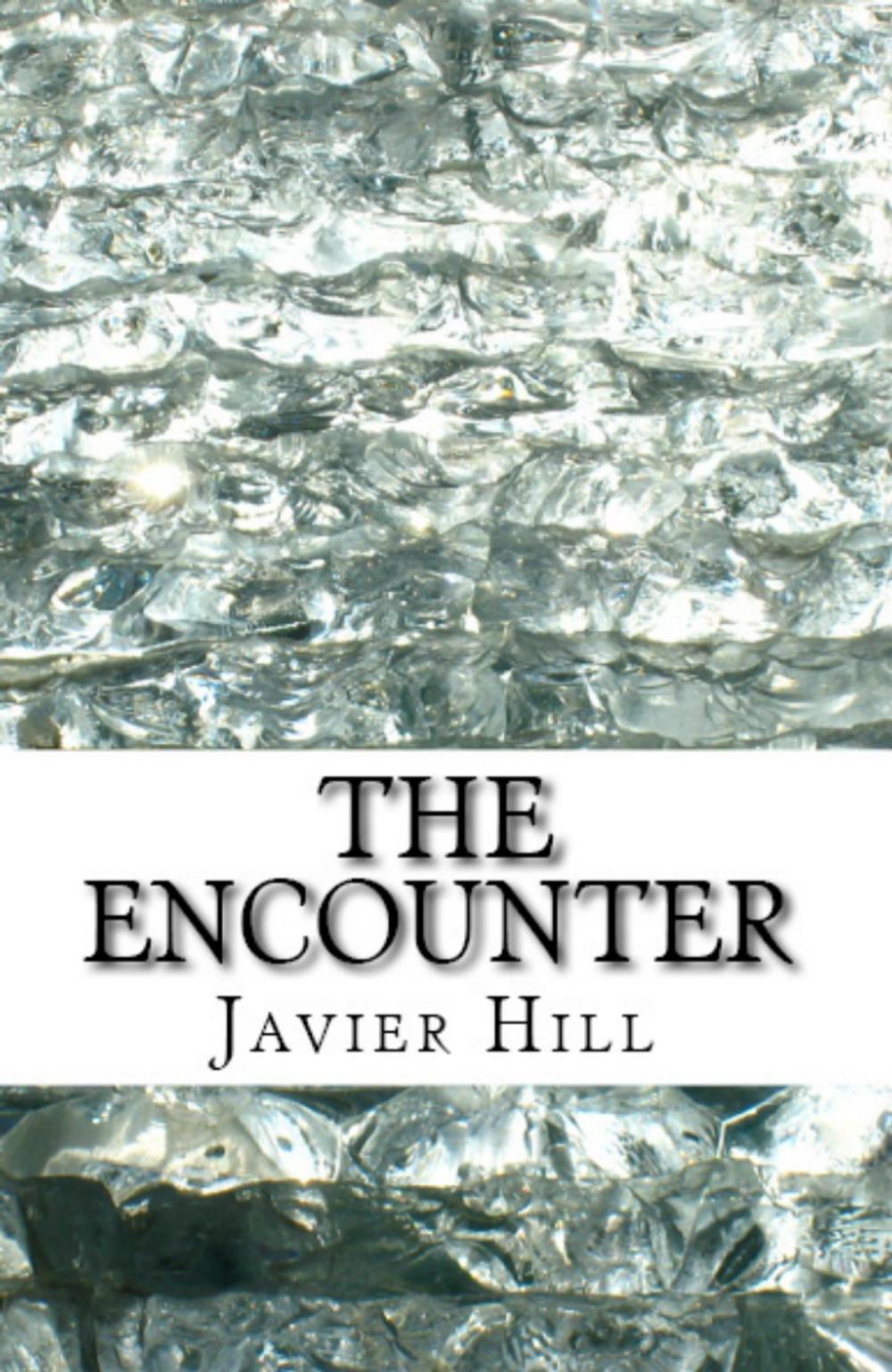 Big bigCover of The Encounter