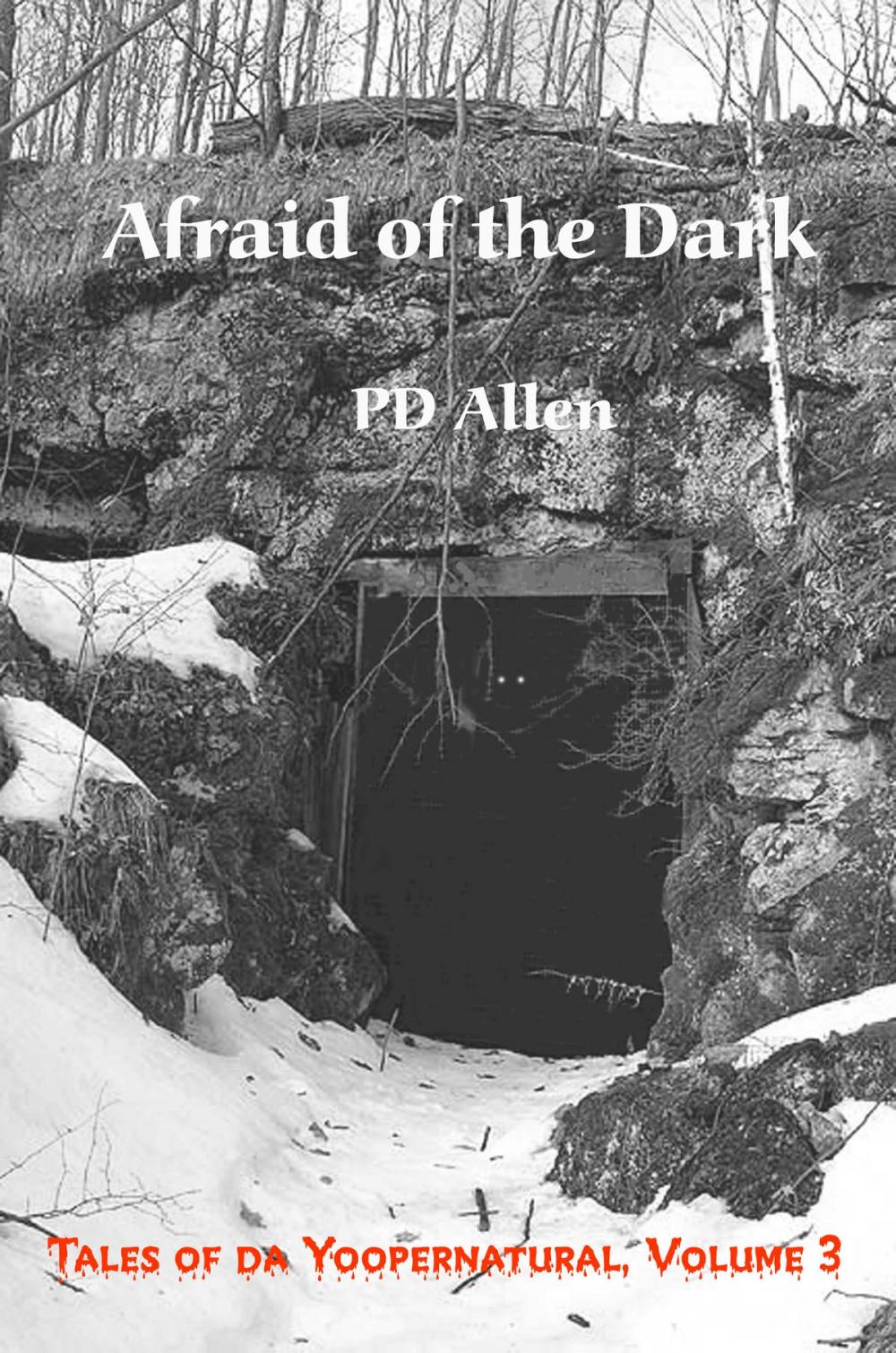 Big bigCover of Afraid of the Dark