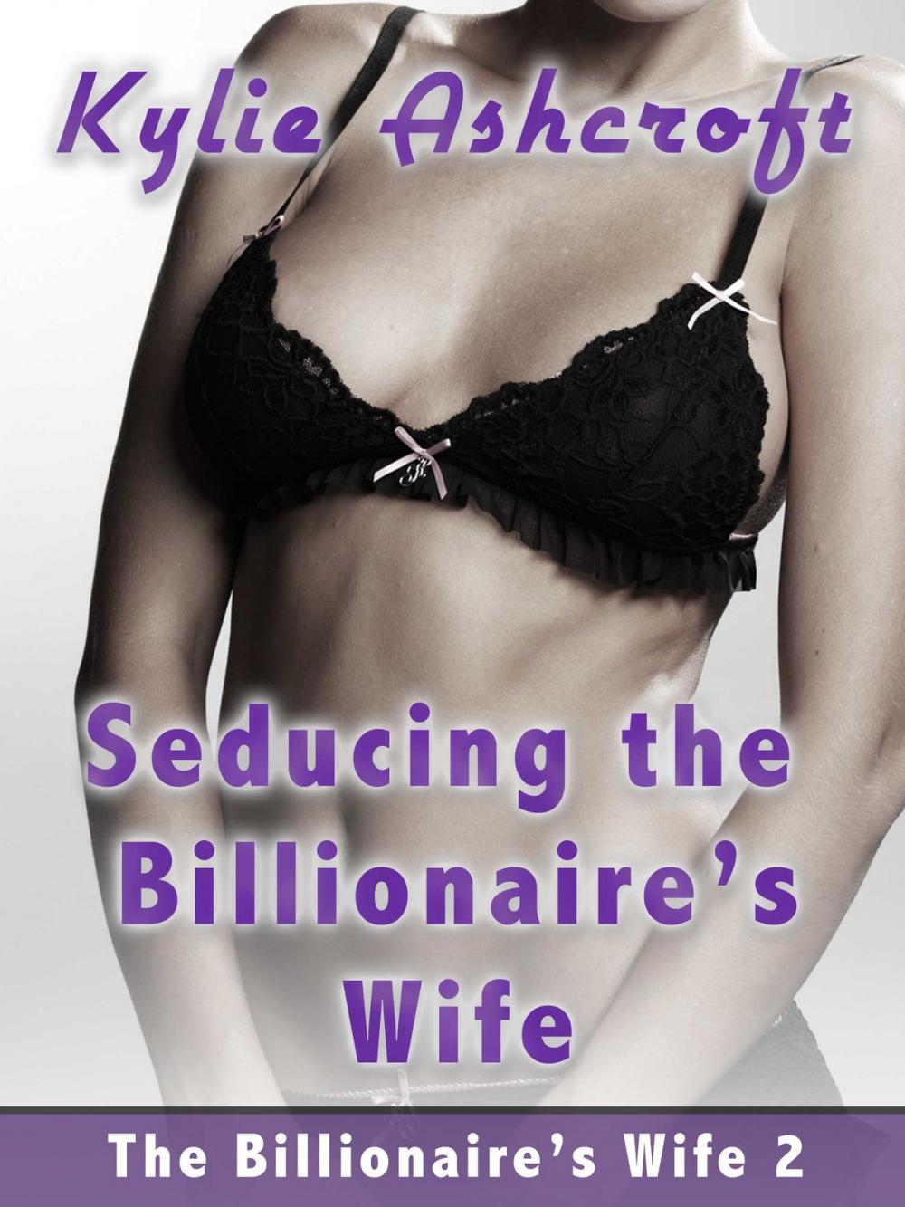 Big bigCover of Seducing the Billionaire's Wife