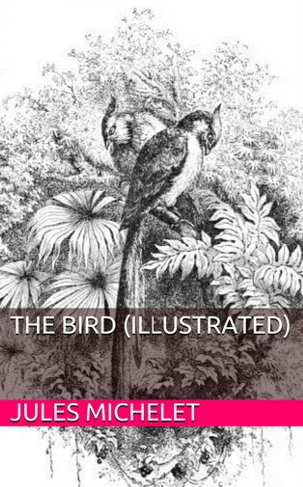 Big bigCover of The Bird (Illustrated)