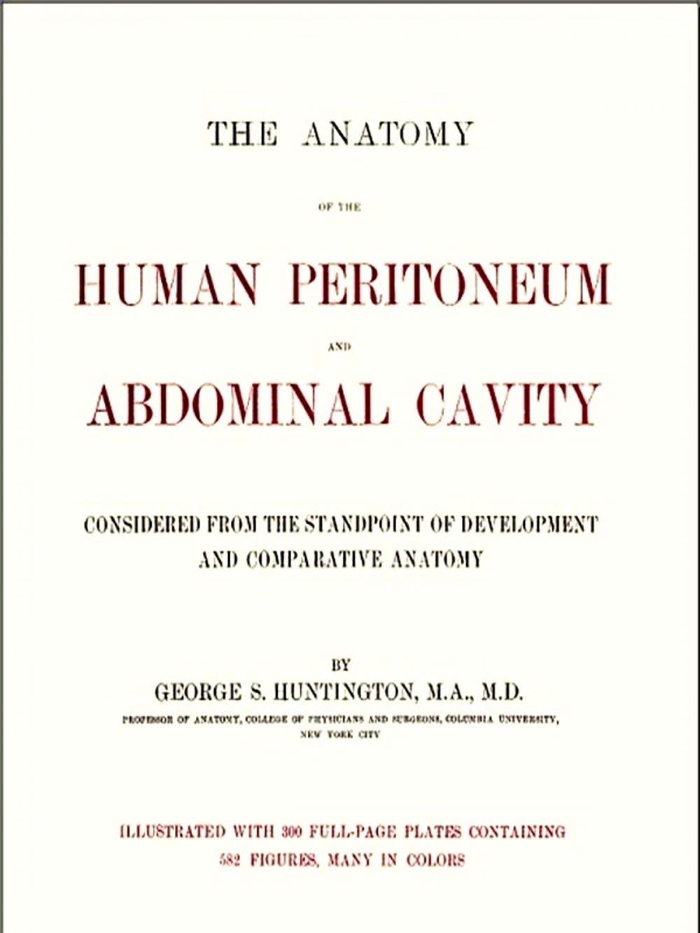 Big bigCover of The Anatomy of the Human Peritoneum and Abdominal Cavity