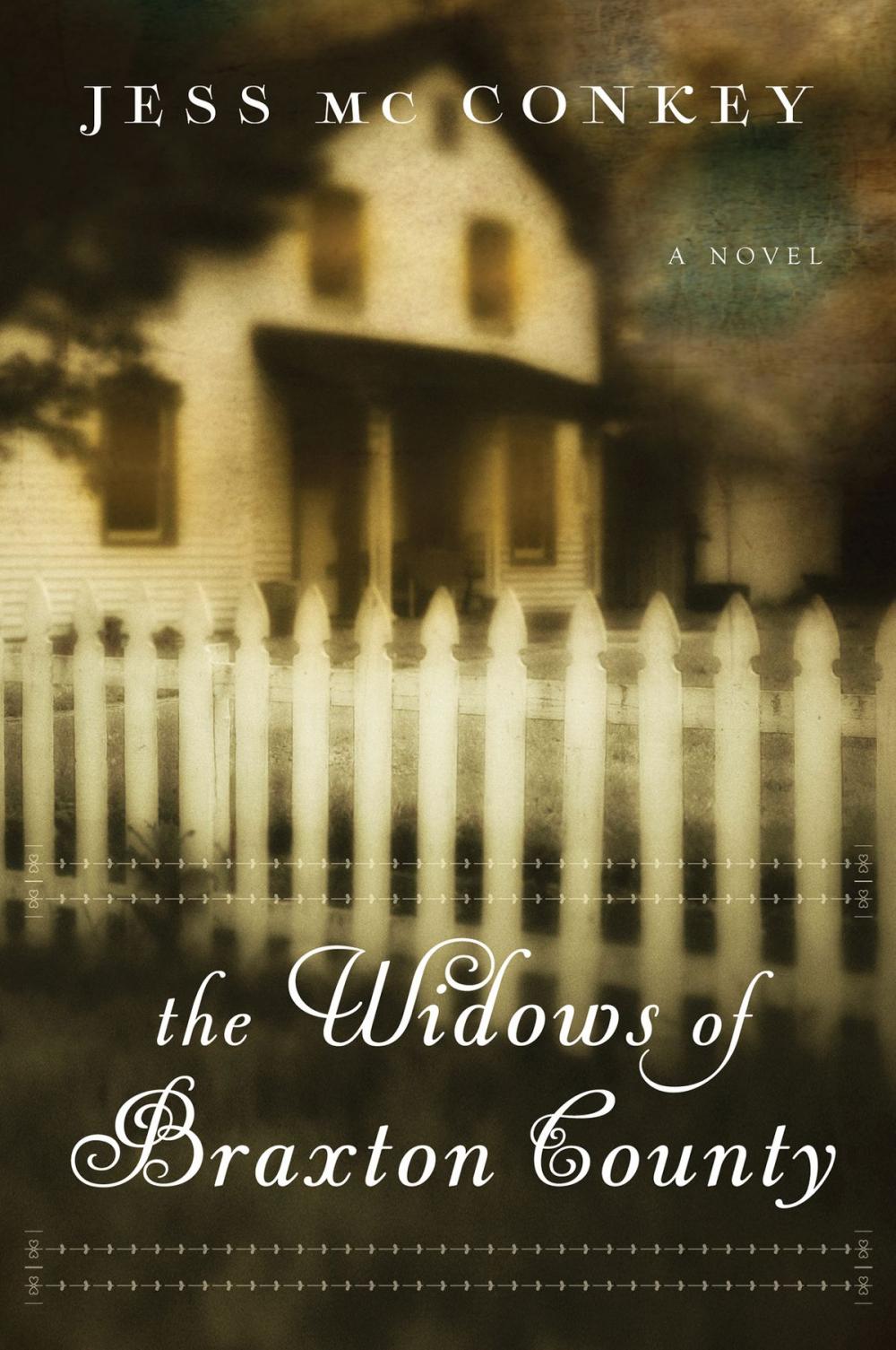 Big bigCover of The Widows of Braxton County