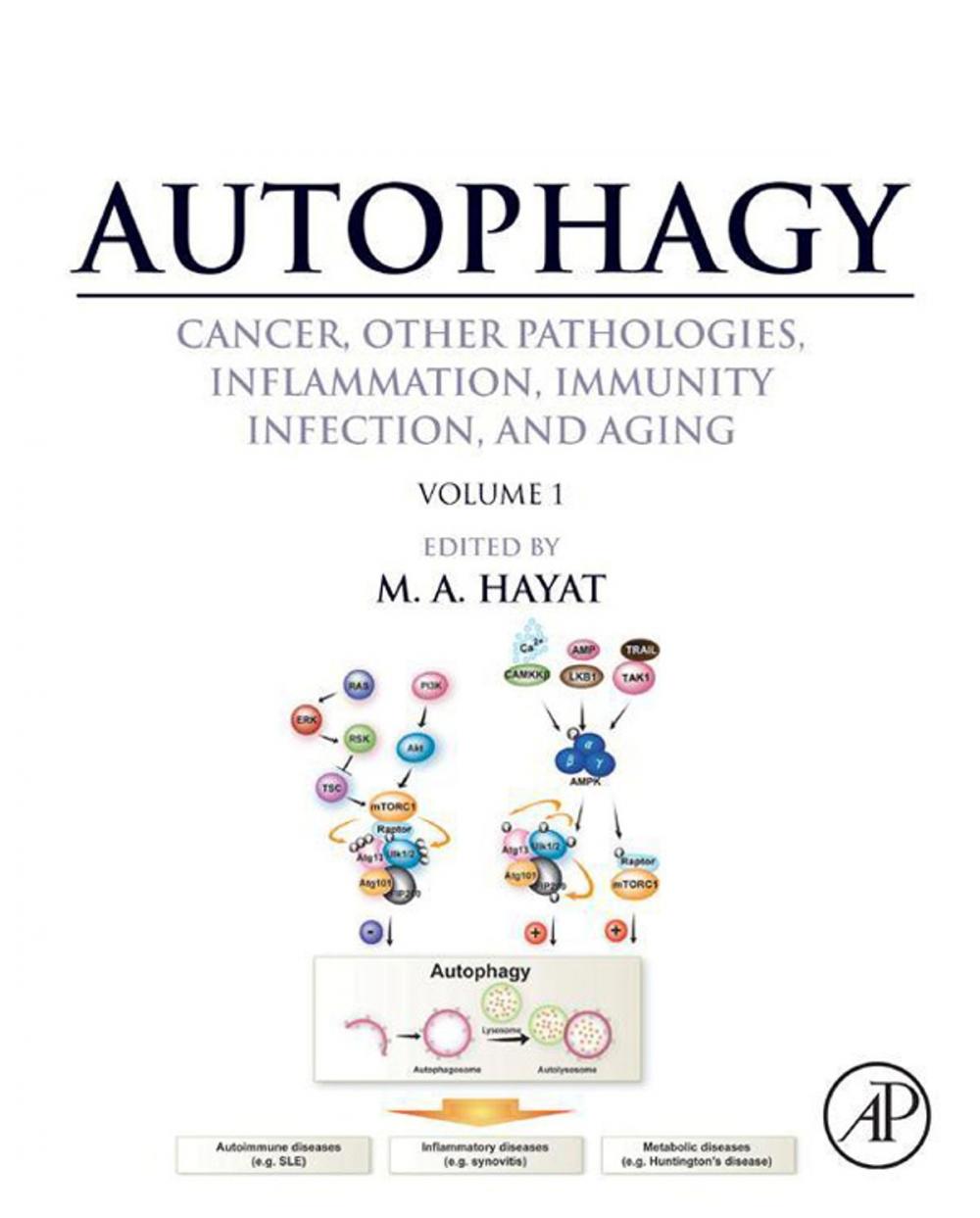 Big bigCover of Autophagy: Cancer, Other Pathologies, Inflammation, Immunity, Infection, and Aging