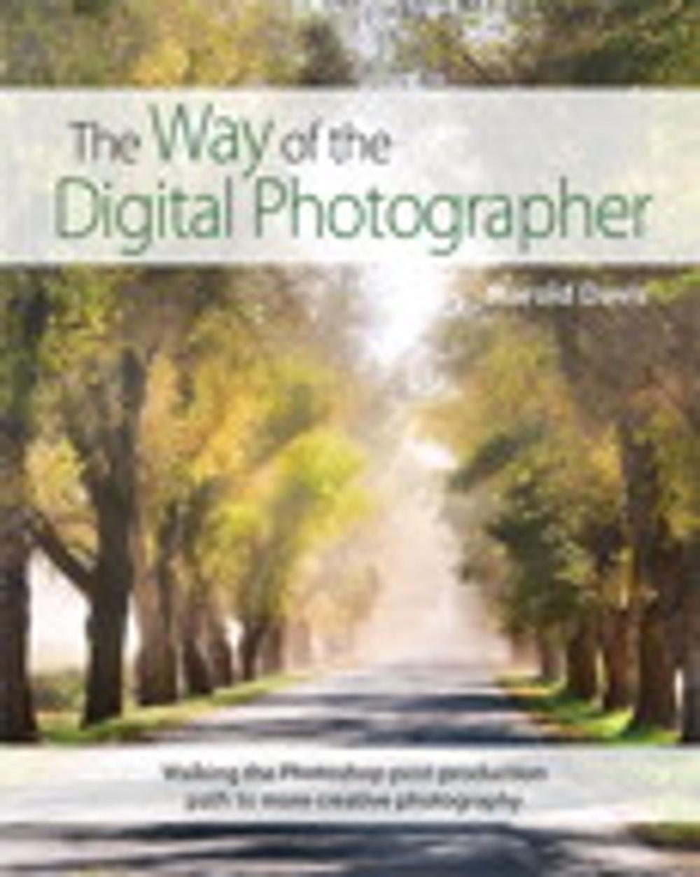 Big bigCover of The Way of the Digital Photographer