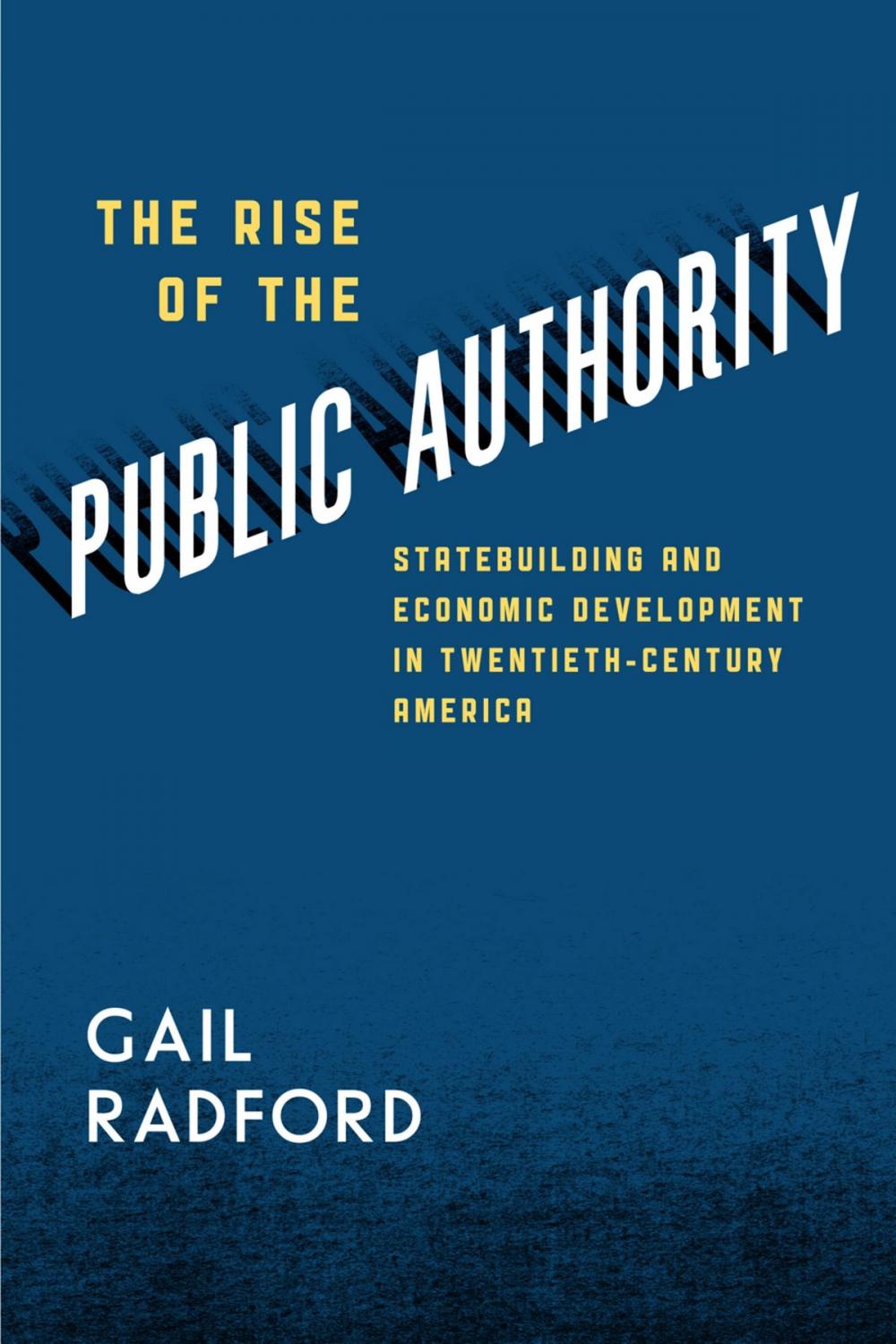 Big bigCover of The Rise of the Public Authority