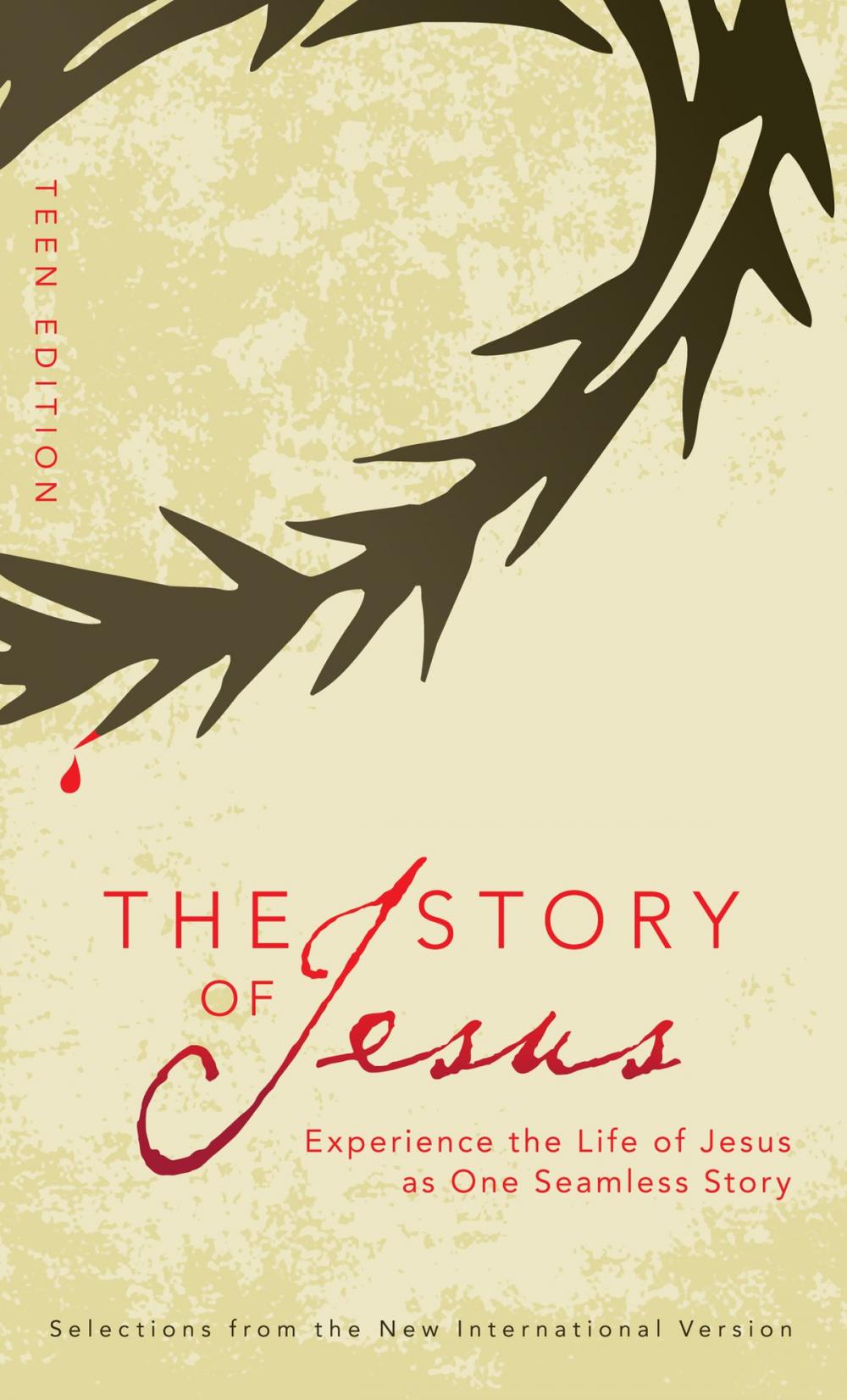 Big bigCover of The Story of Jesus: Teen Edition