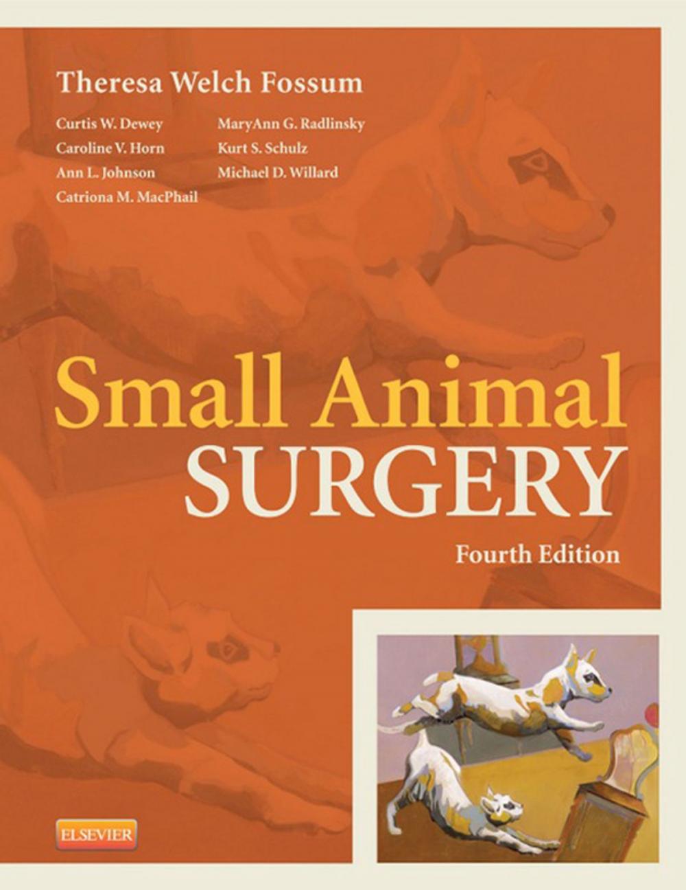 Big bigCover of Small Animal Surgery - Pageburst on VitalSource