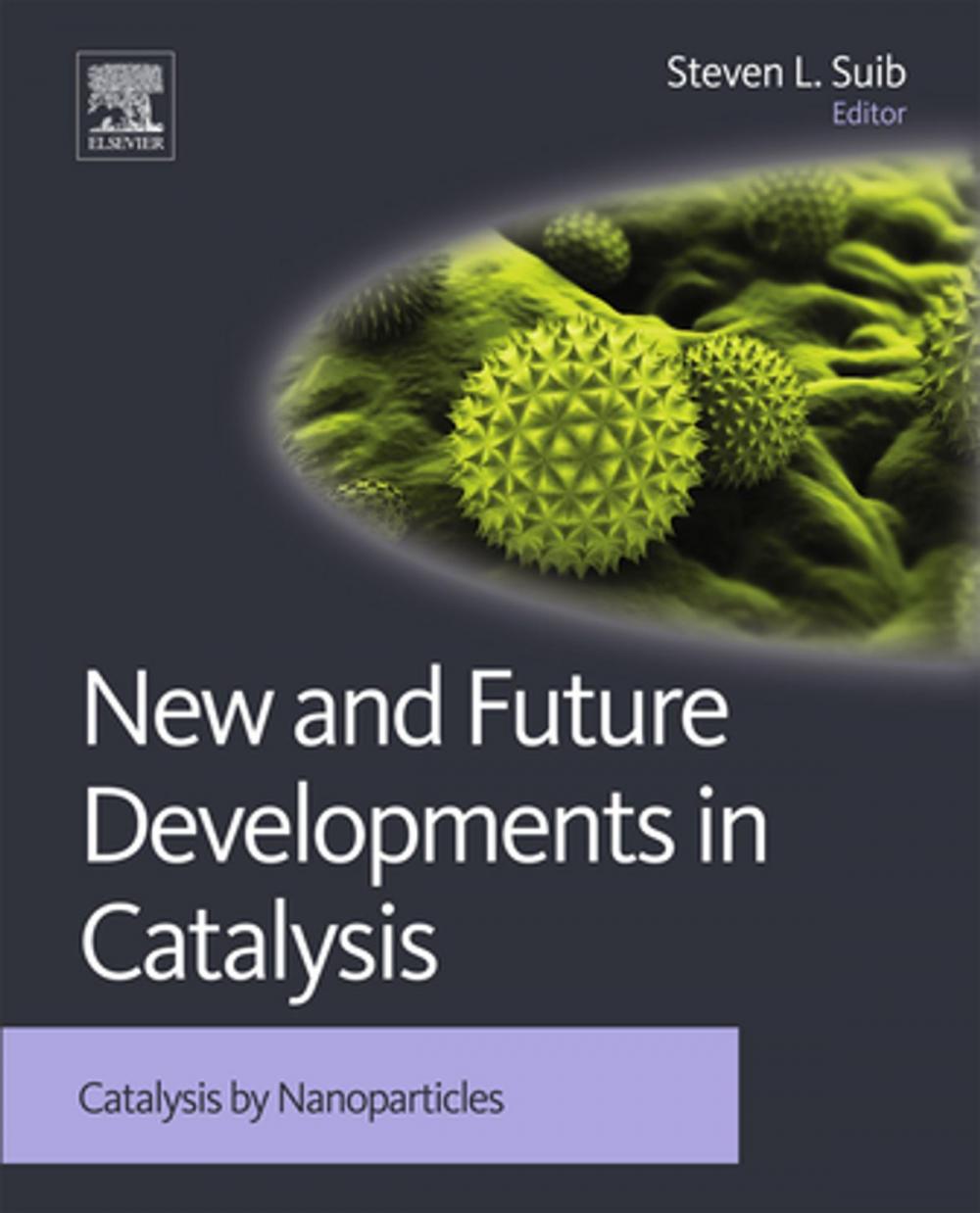 Big bigCover of New and Future Developments in Catalysis