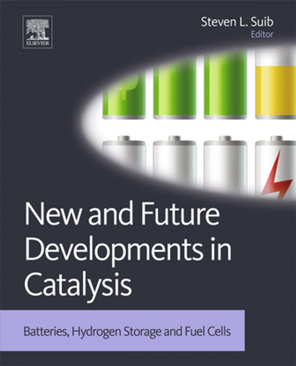 Big bigCover of New and Future Developments in Catalysis