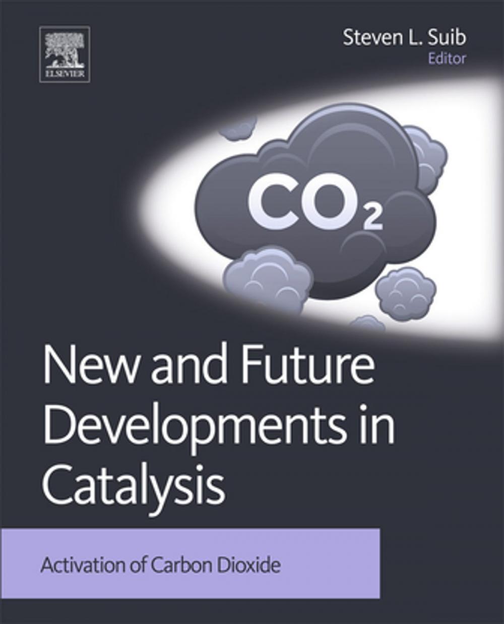 Big bigCover of New and Future Developments in Catalysis