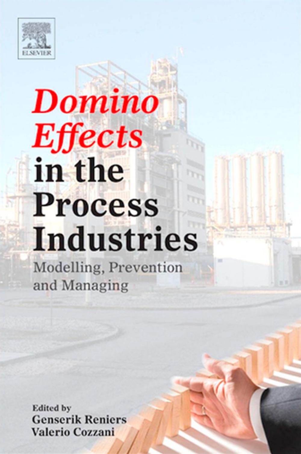 Big bigCover of Domino Effects in the Process Industries