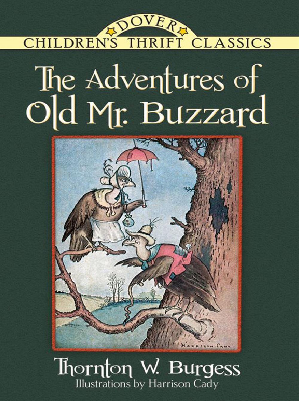 Big bigCover of The Adventures of Old Mr. Buzzard