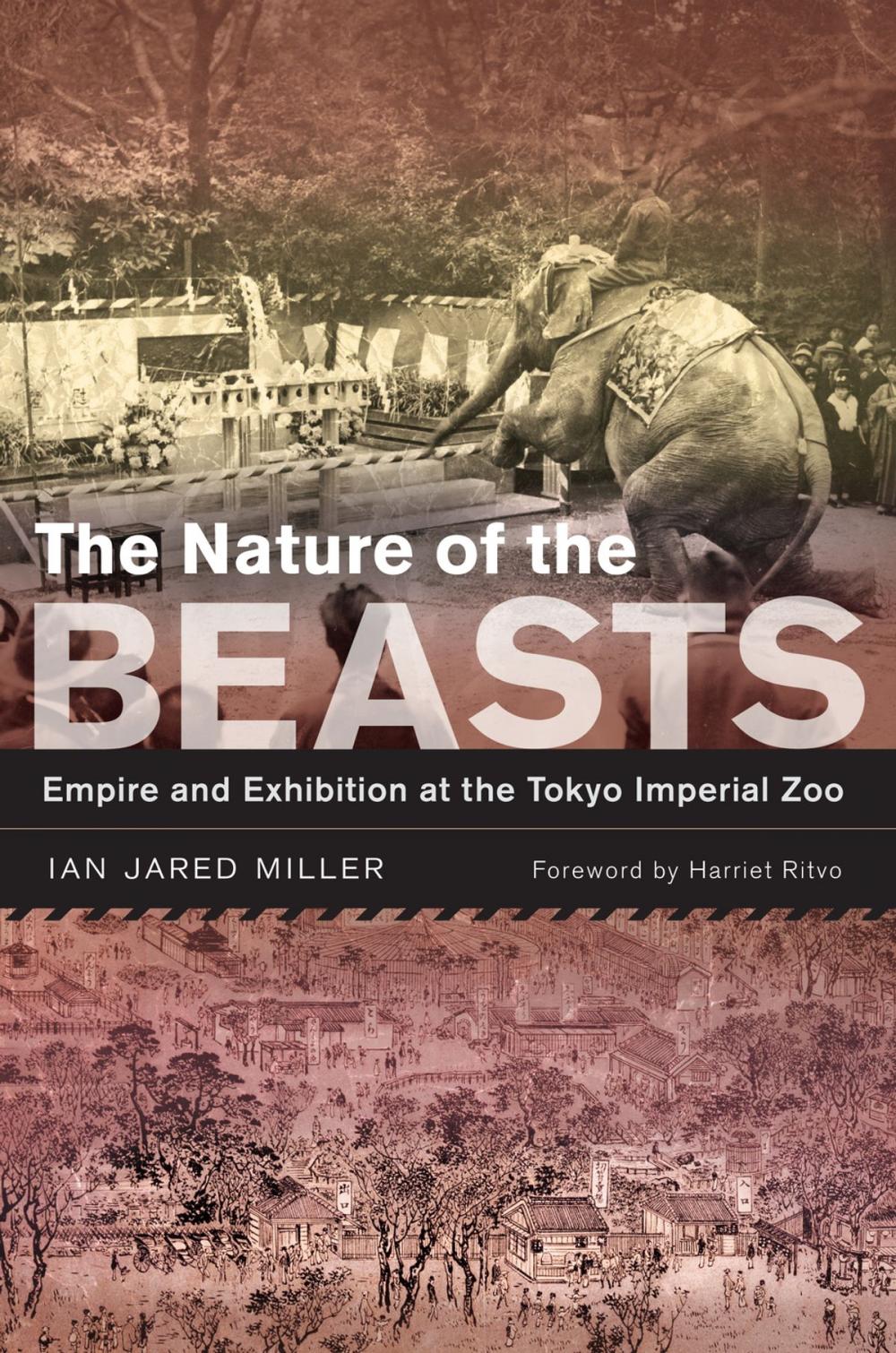 Big bigCover of The Nature of the Beasts
