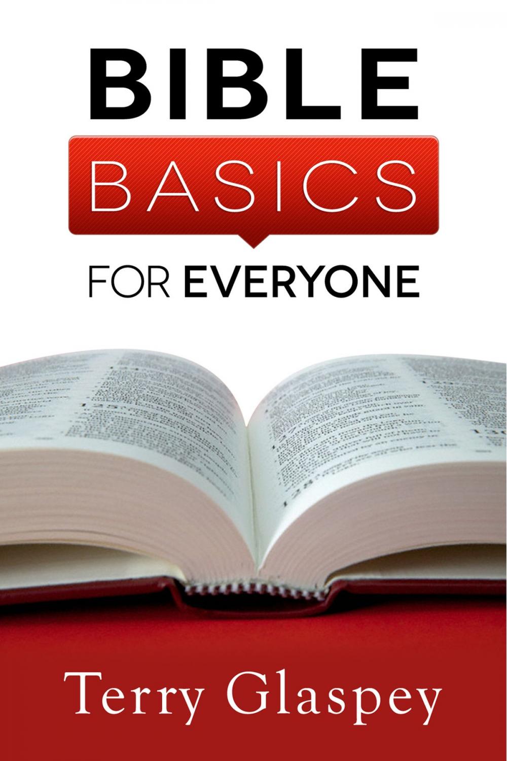 Big bigCover of Bible Basics for Everyone