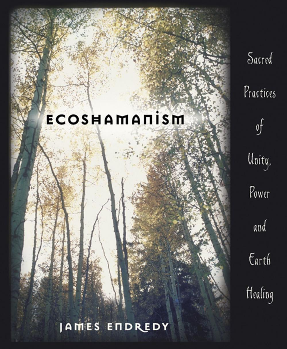 Big bigCover of Ecoshamanism