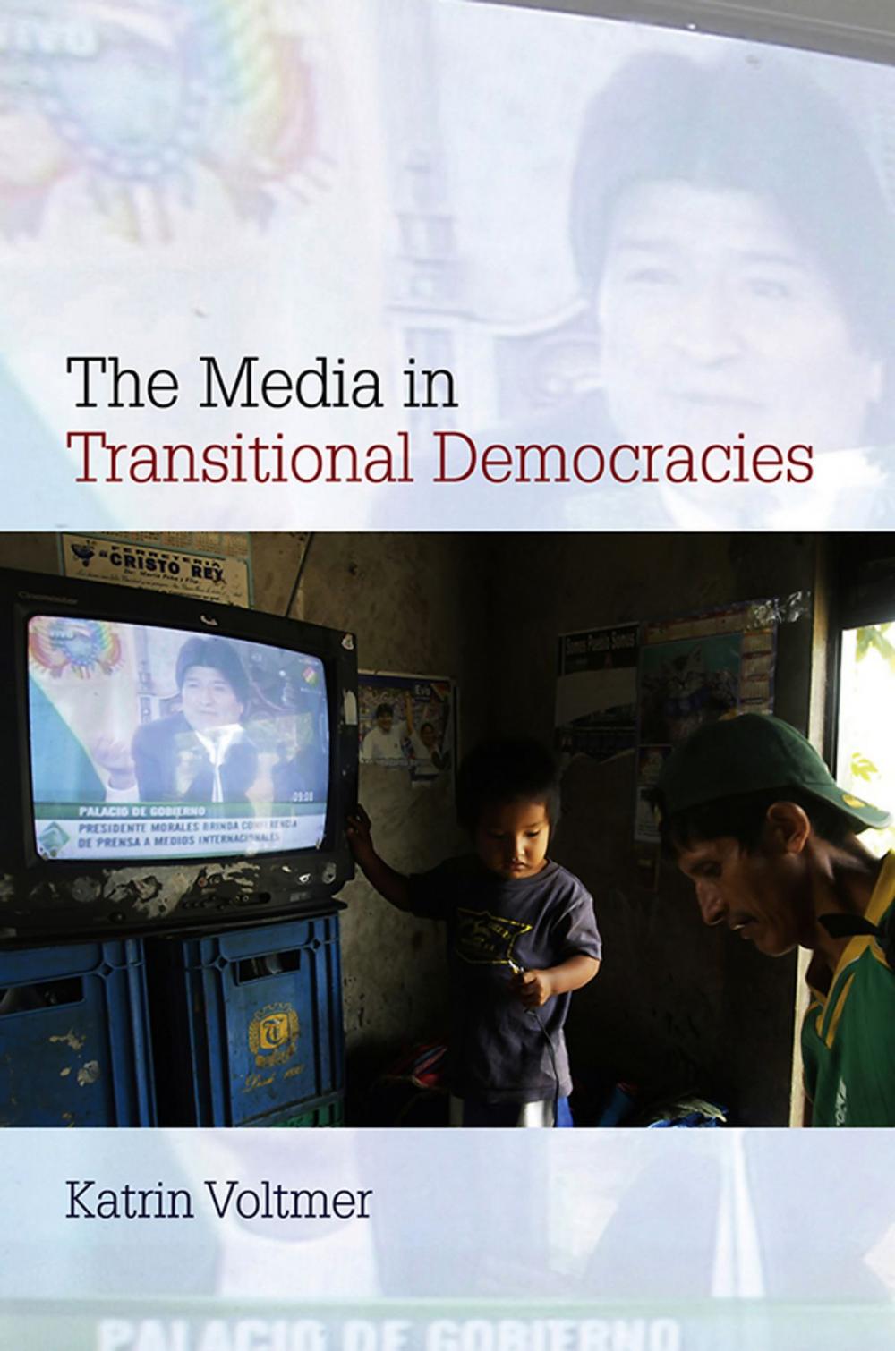 Big bigCover of The Media in Transitional Democracies