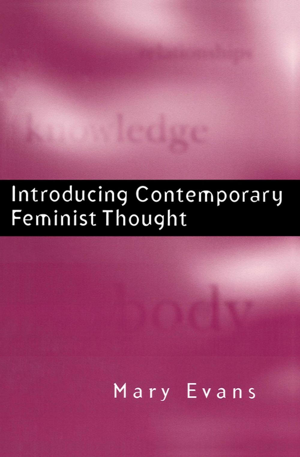 Big bigCover of Introducing Contemporary Feminist Thought