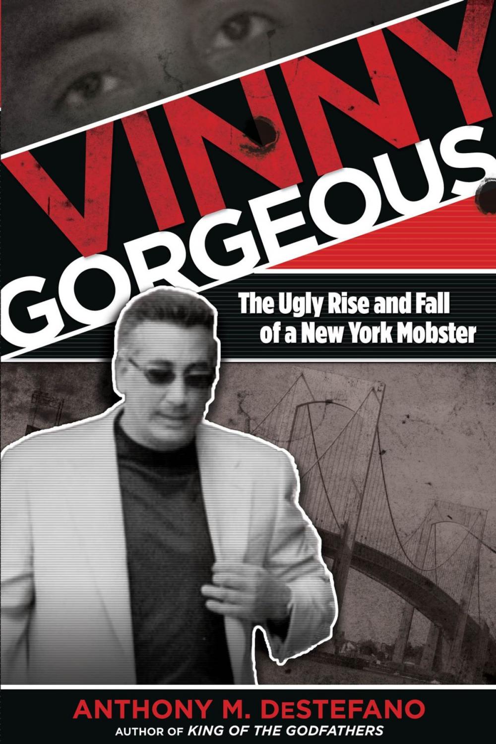 Big bigCover of Vinny Gorgeous