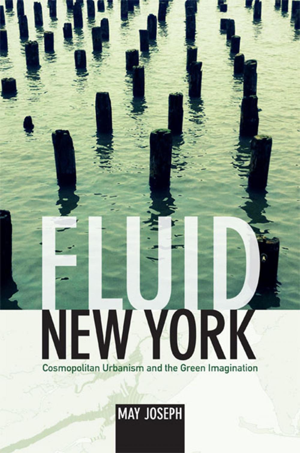 Big bigCover of Fluid New York