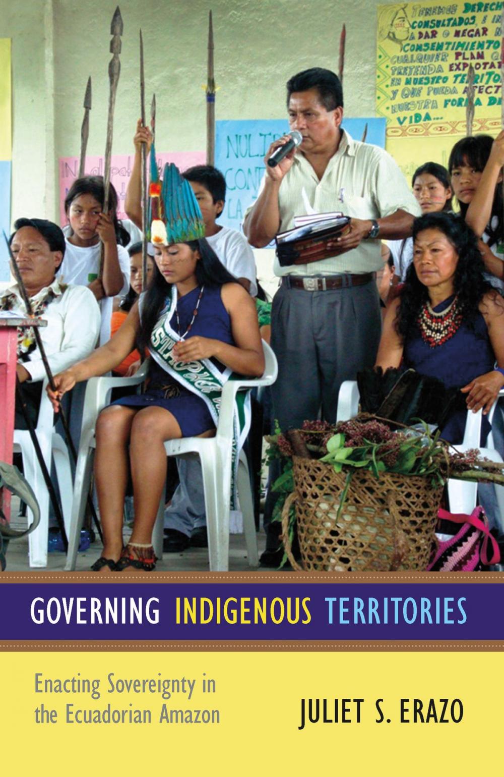 Big bigCover of Governing Indigenous Territories