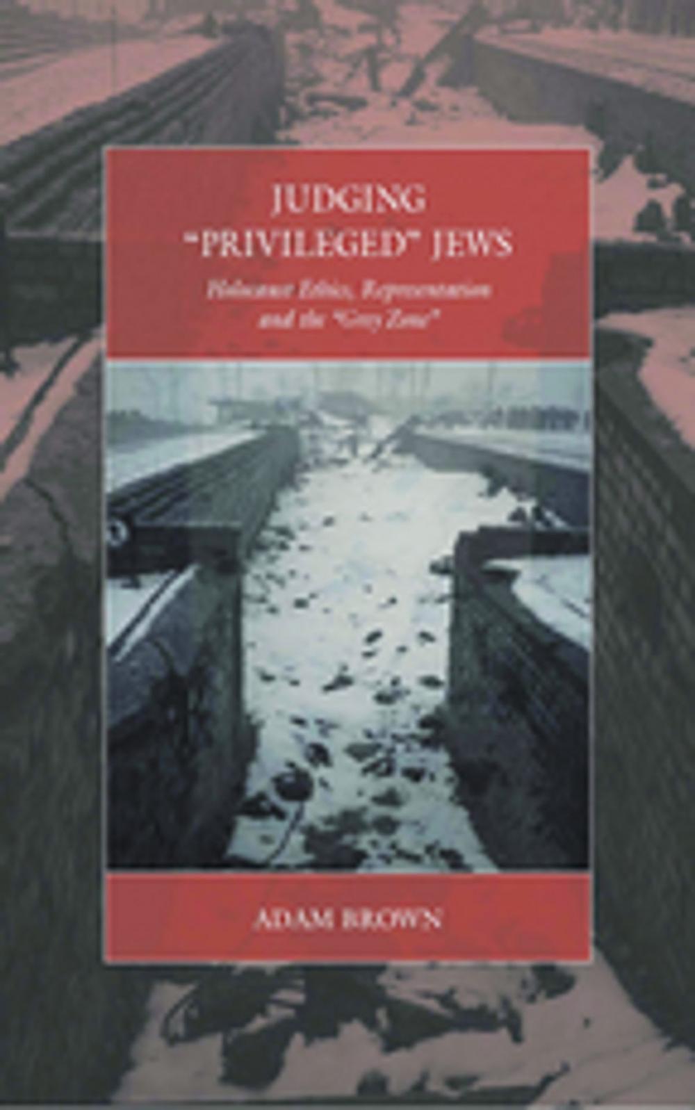 Big bigCover of Judging 'Privileged' Jews